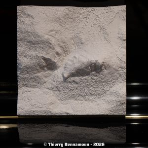 Carte topographique 3D Montsegur